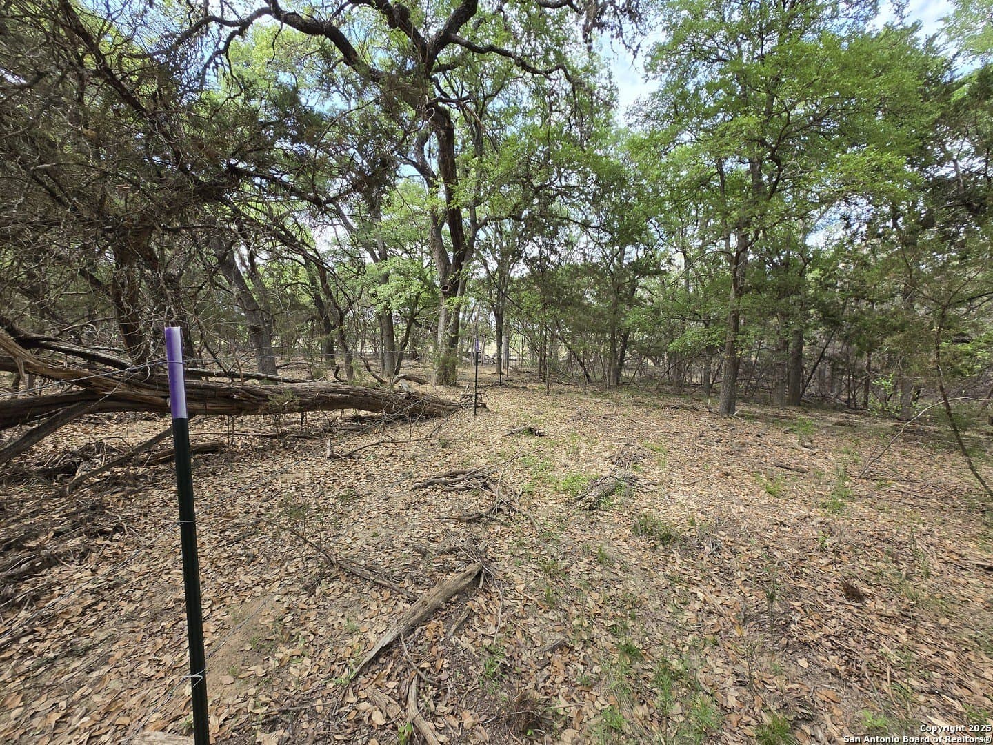2 acres in Bandera County - photo 17