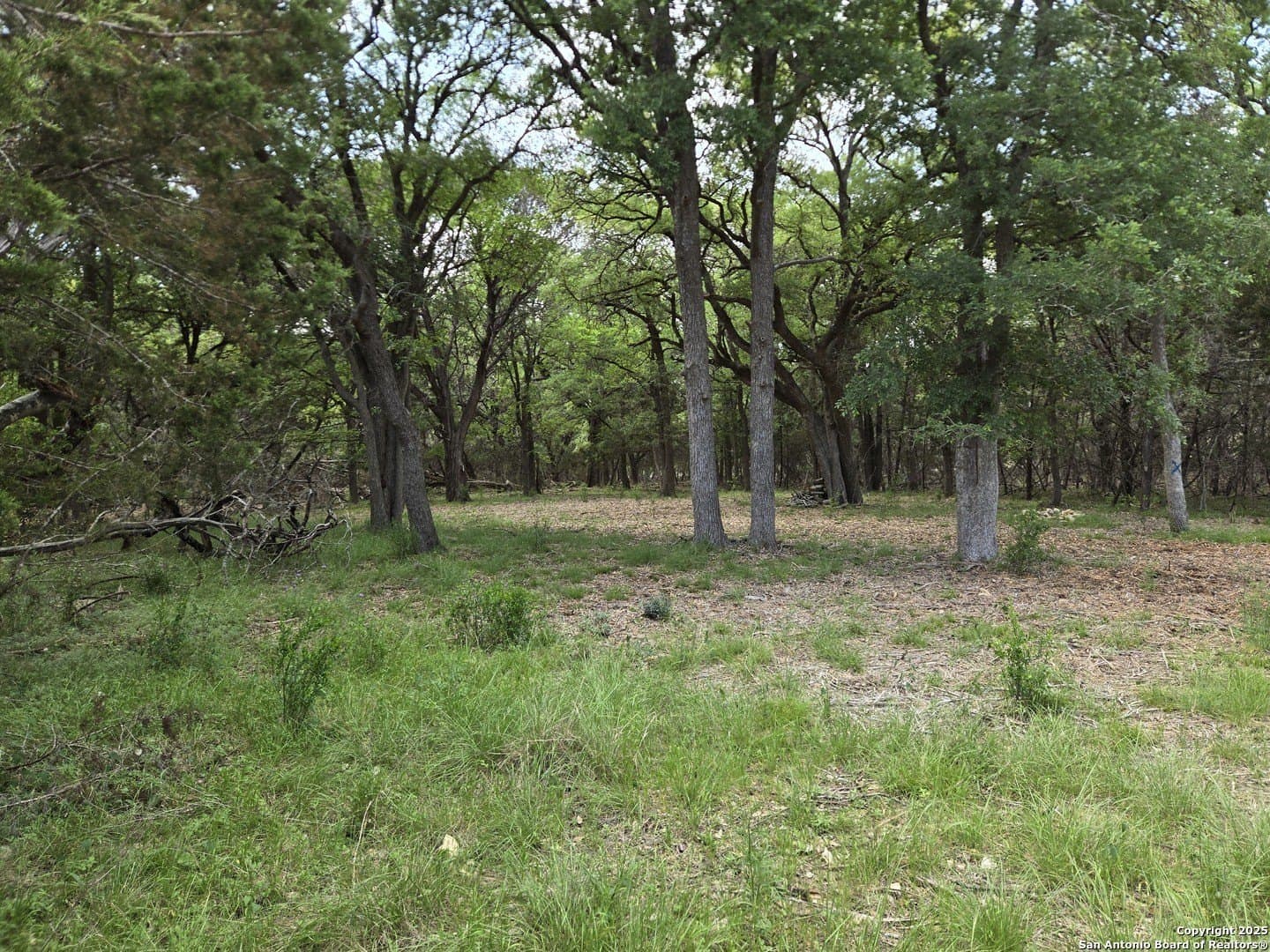 2 acres in Bandera County - photo 24