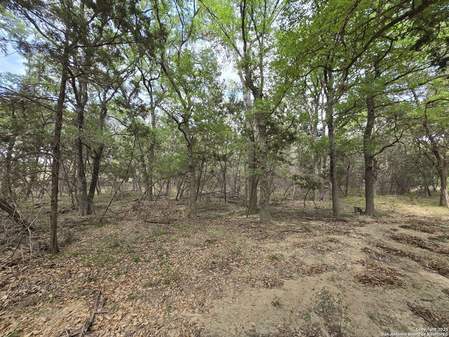 2 acres in Bandera County - photo 19