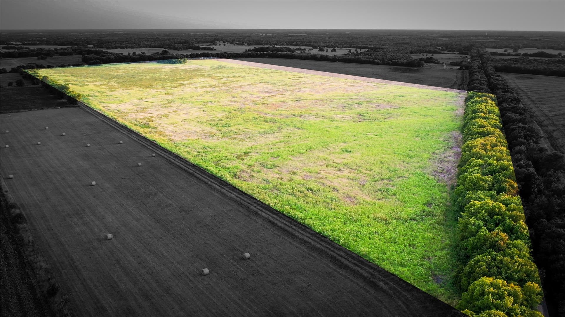 344.31 acres in Lamar County - photo 4