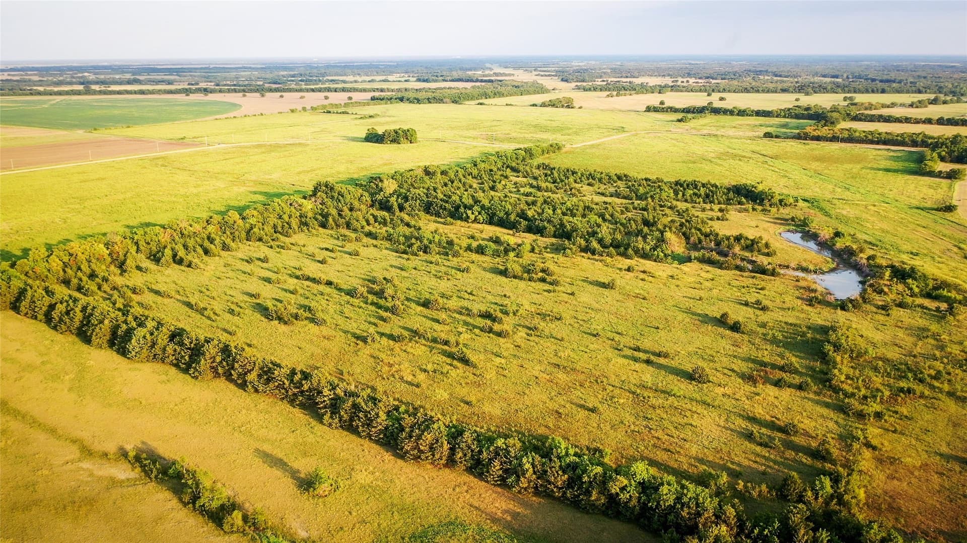 344.31 acres in Lamar County - photo 12