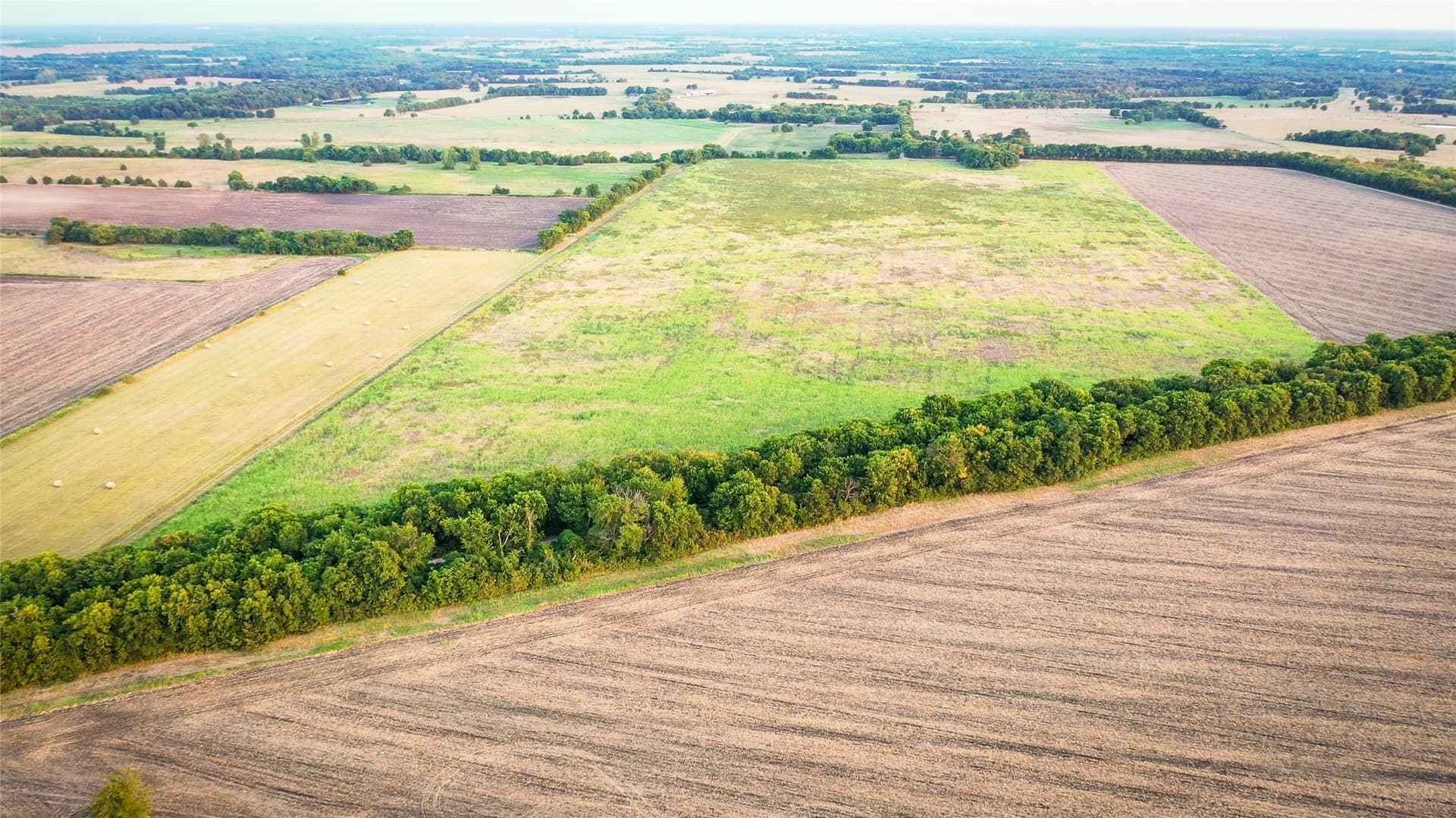 344.31 acres in Lamar County - photo 26