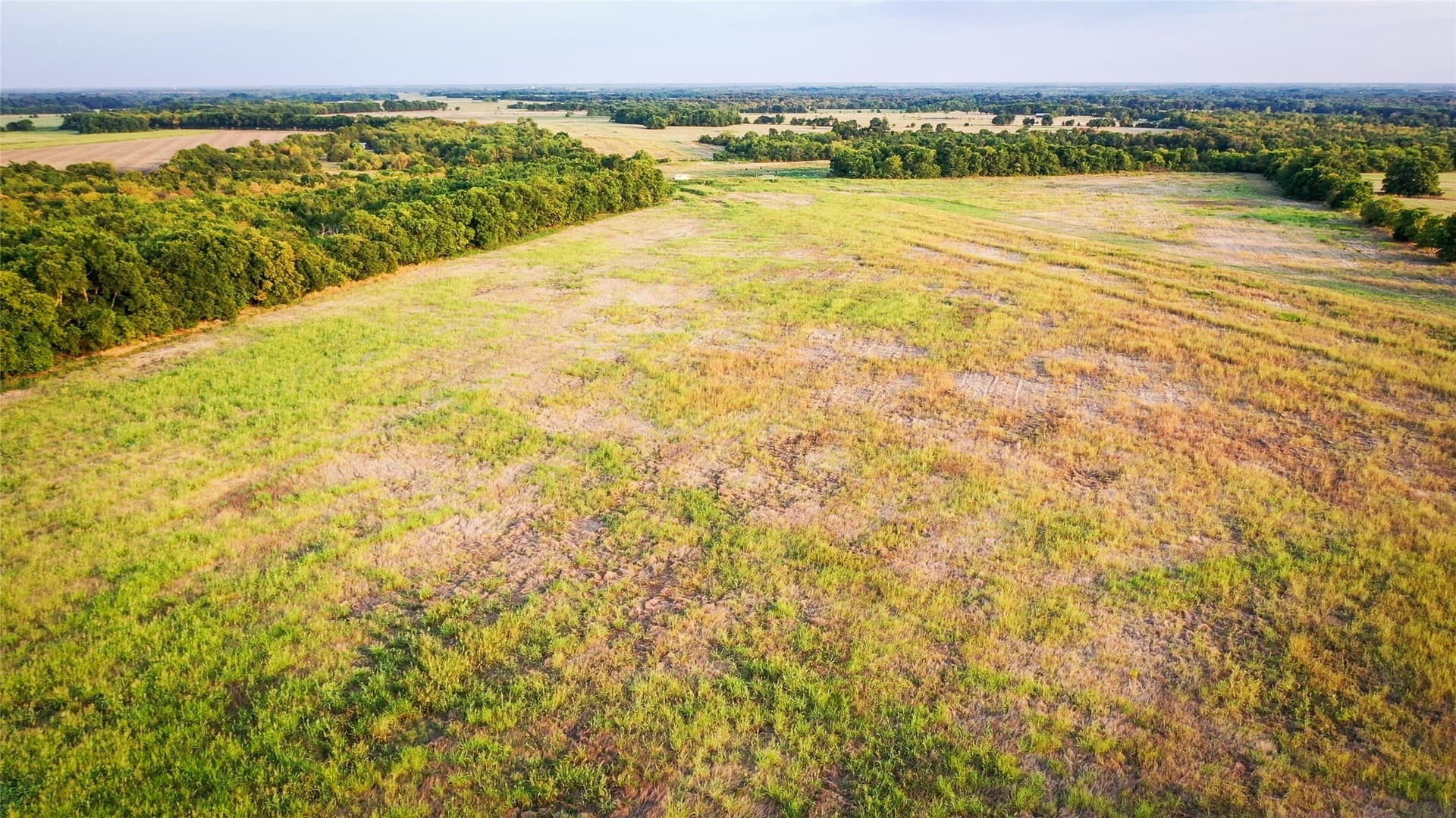 344.31 acres in Lamar County - photo 23