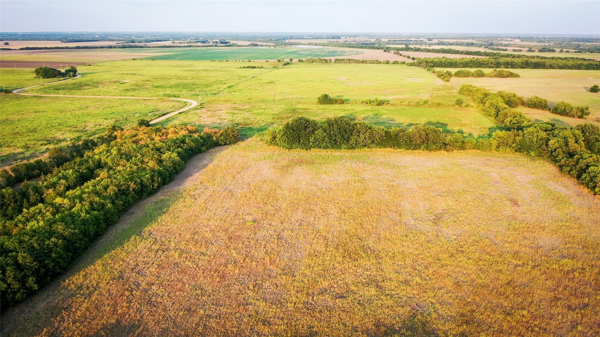 344.31 acres in Lamar County - photo 22