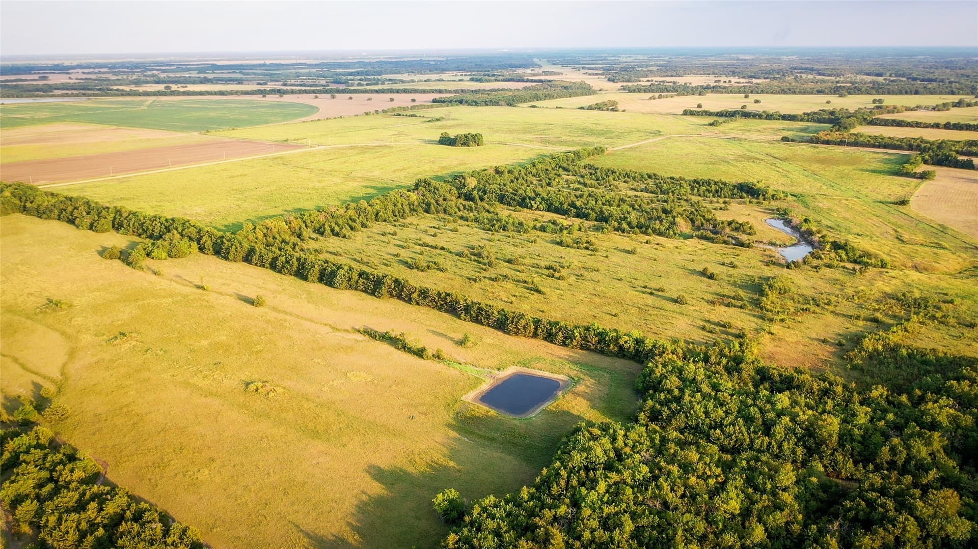344.31 acres in Lamar County - photo 11
