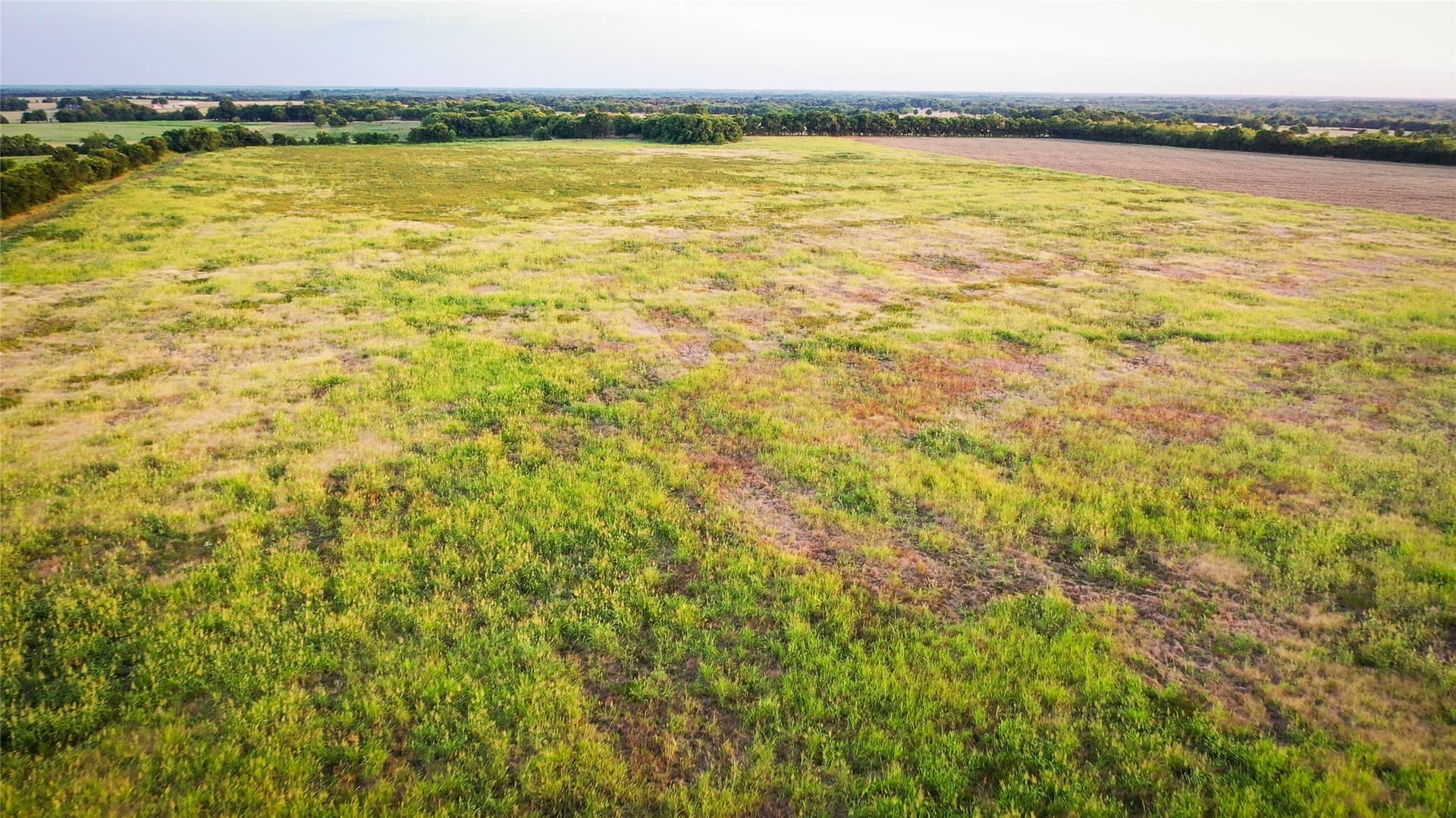 344.31 acres in Lamar County - photo 25