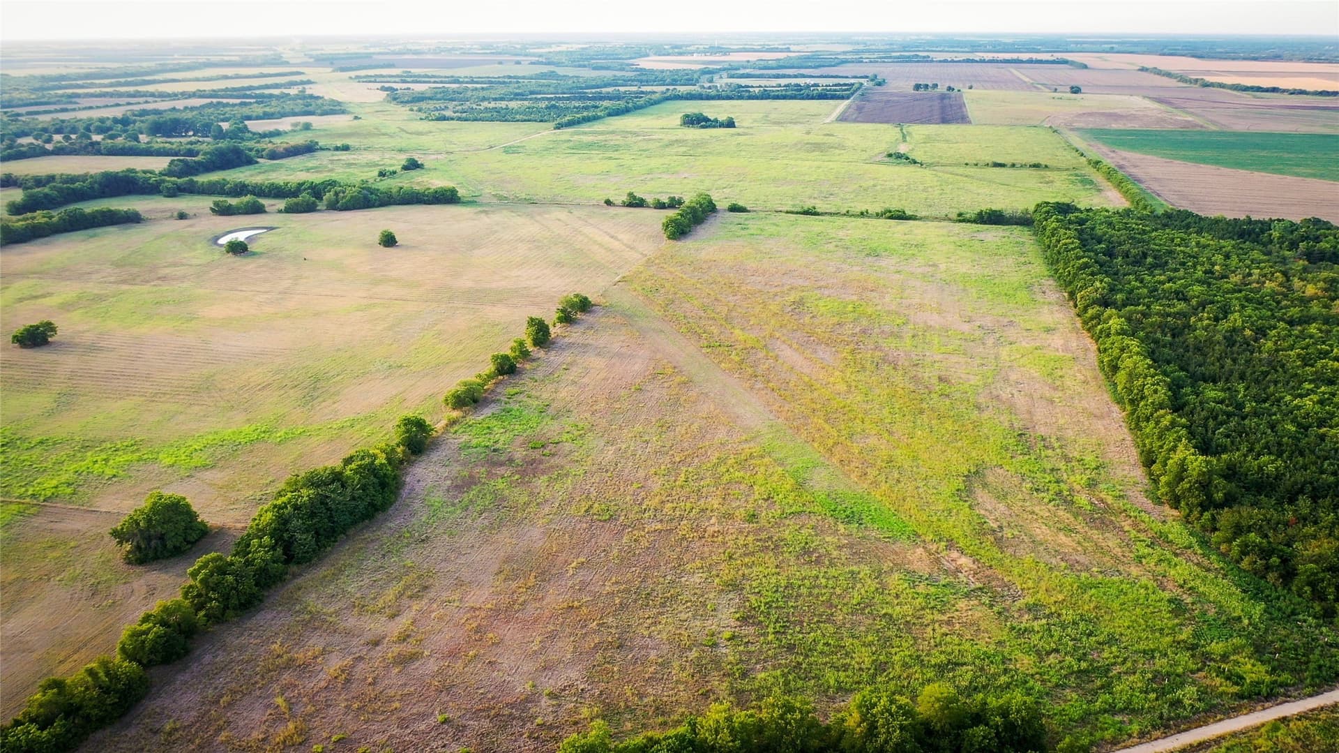 344.31 acres in Lamar County - photo 9