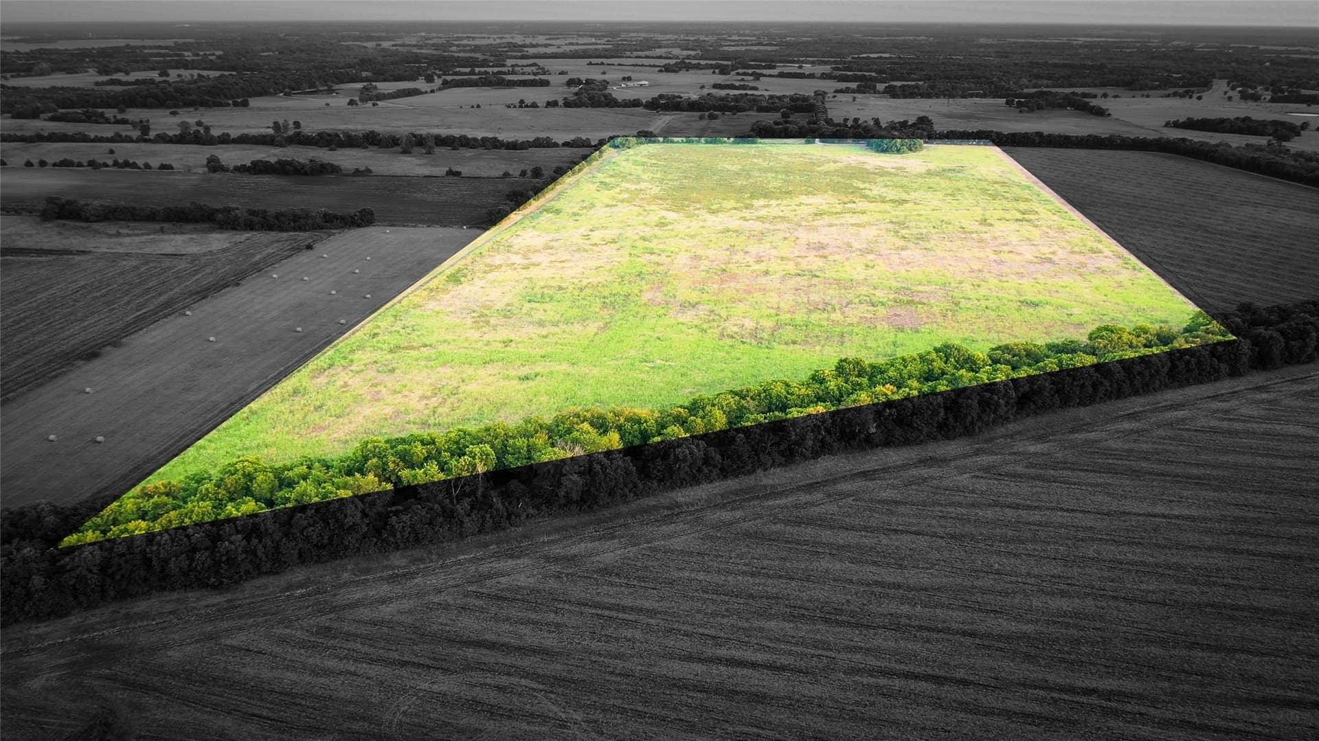 344.31 acres in Lamar County - photo 2