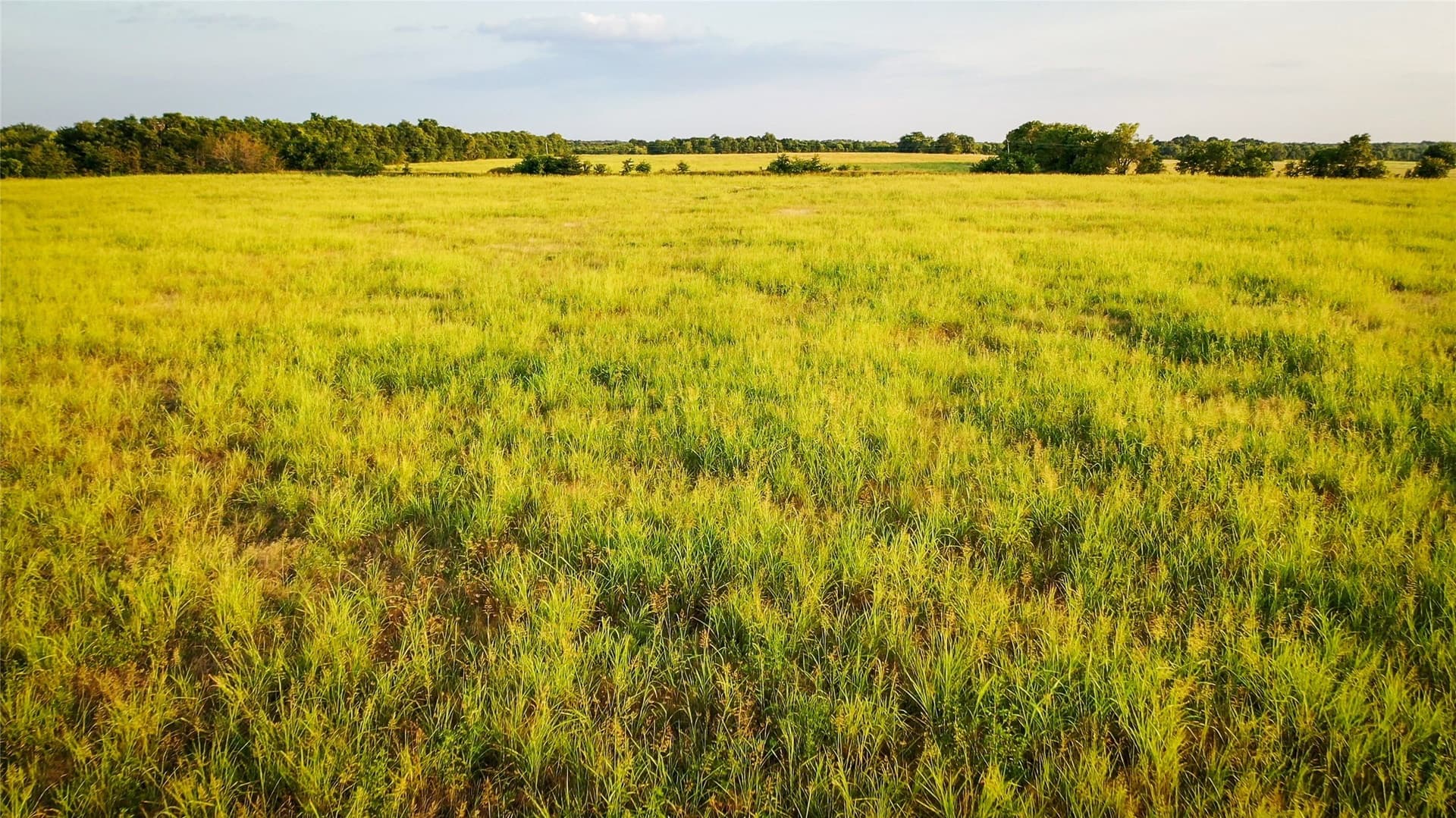 344.31 acres in Lamar County - photo 17