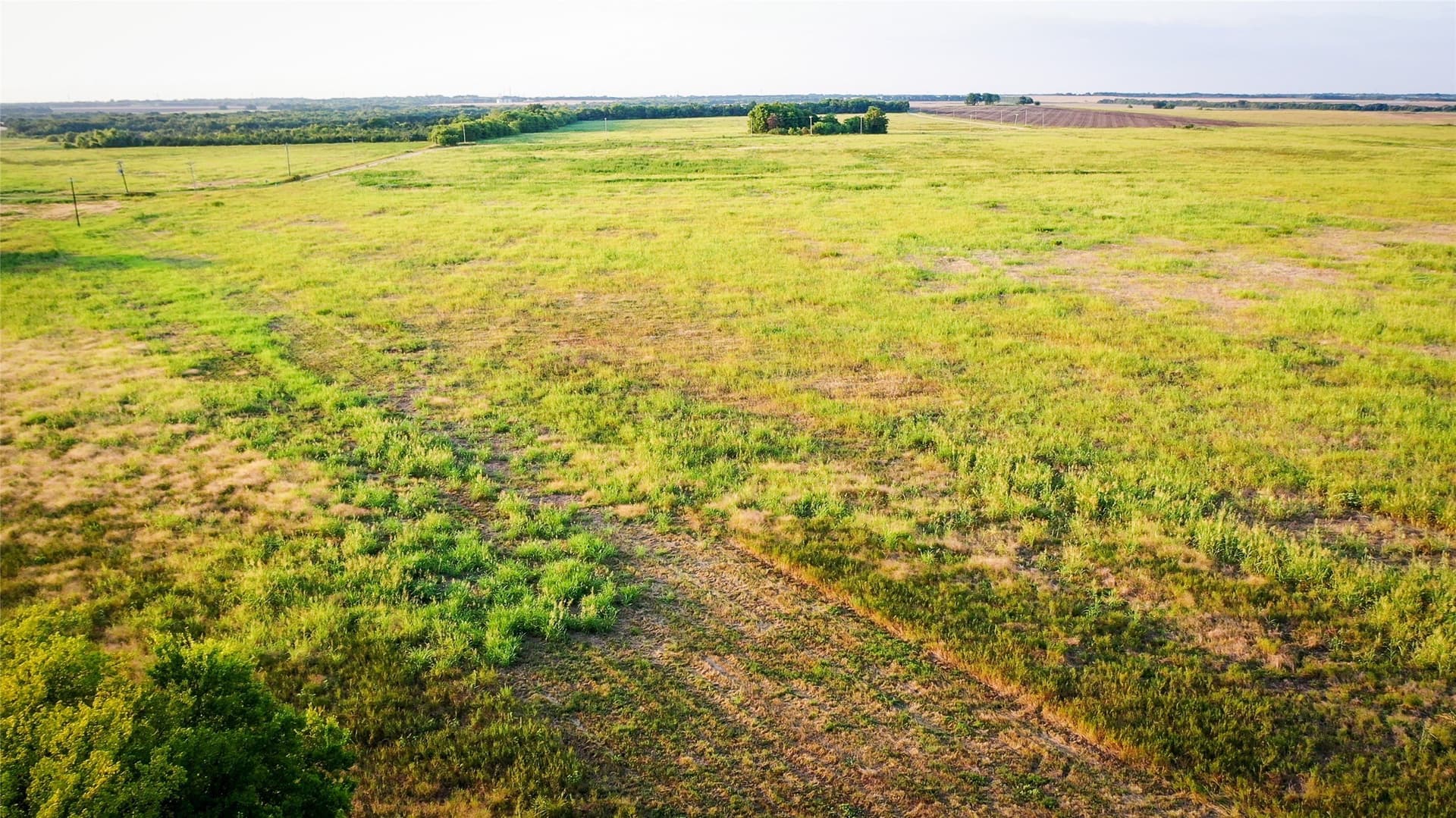 344.31 acres in Lamar County - photo 19