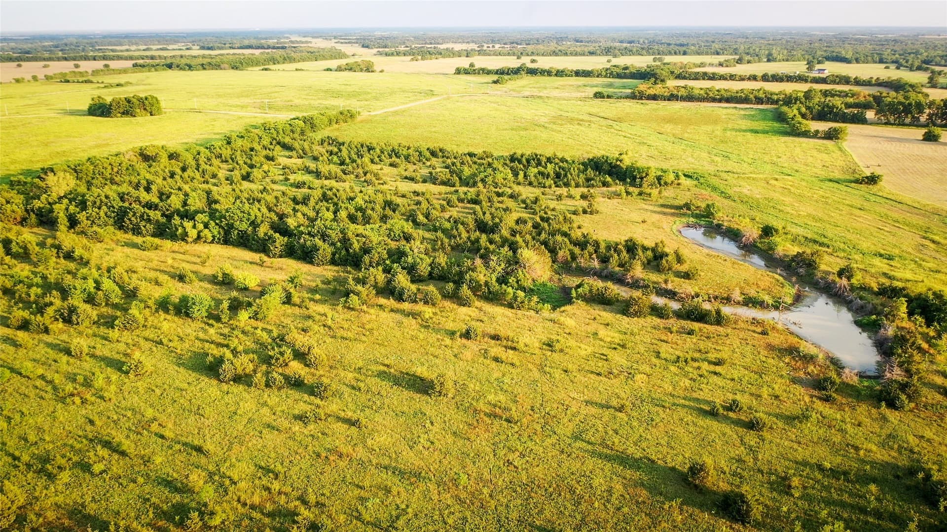 344.31 acres in Lamar County - photo 13