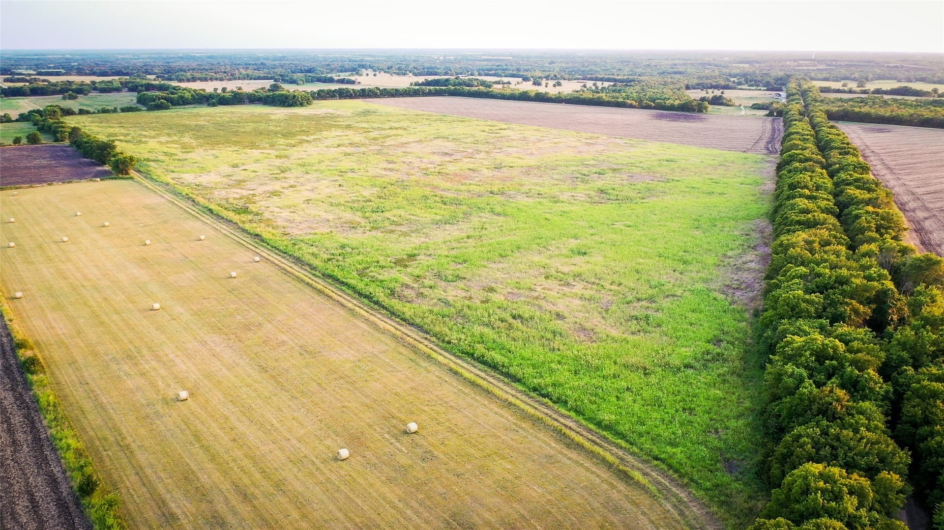 344.31 acres in Lamar County - photo 24