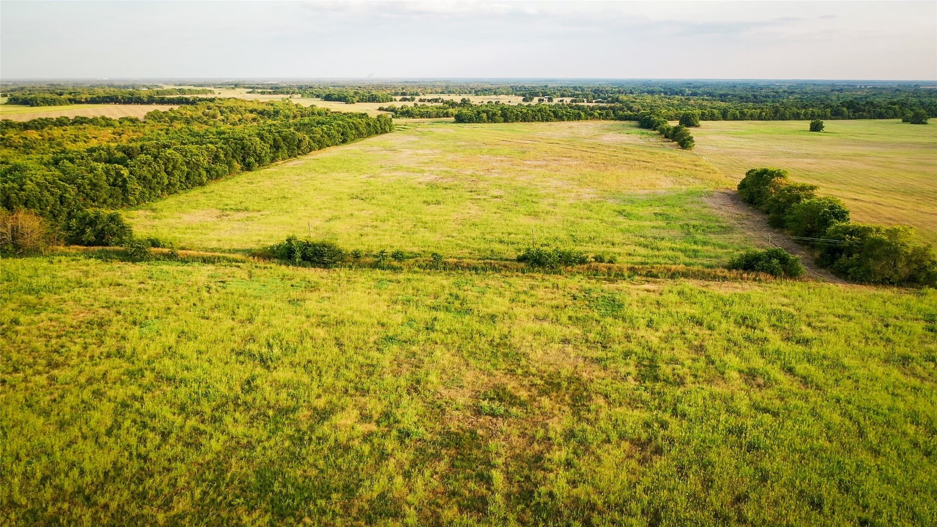 344.31 acres in Lamar County - photo 7