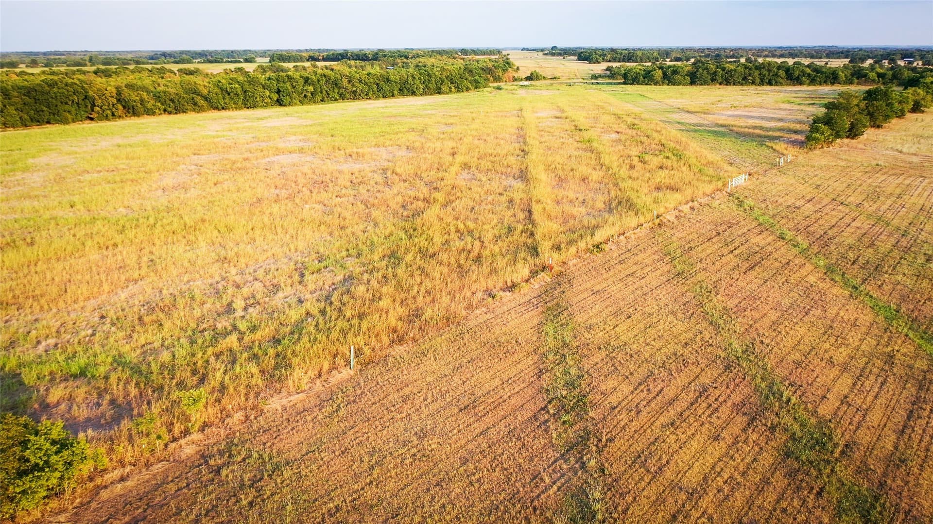 344.31 acres in Lamar County - photo 18