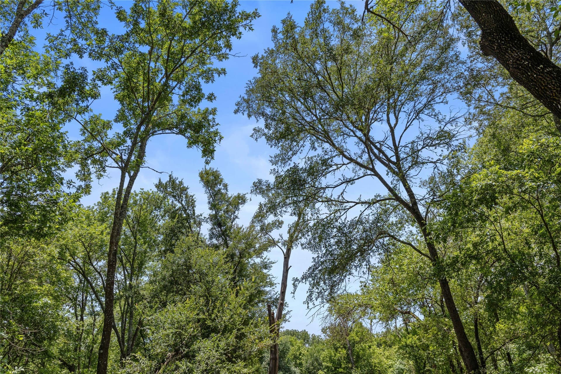 733 acres in Kaufman County - photo 23