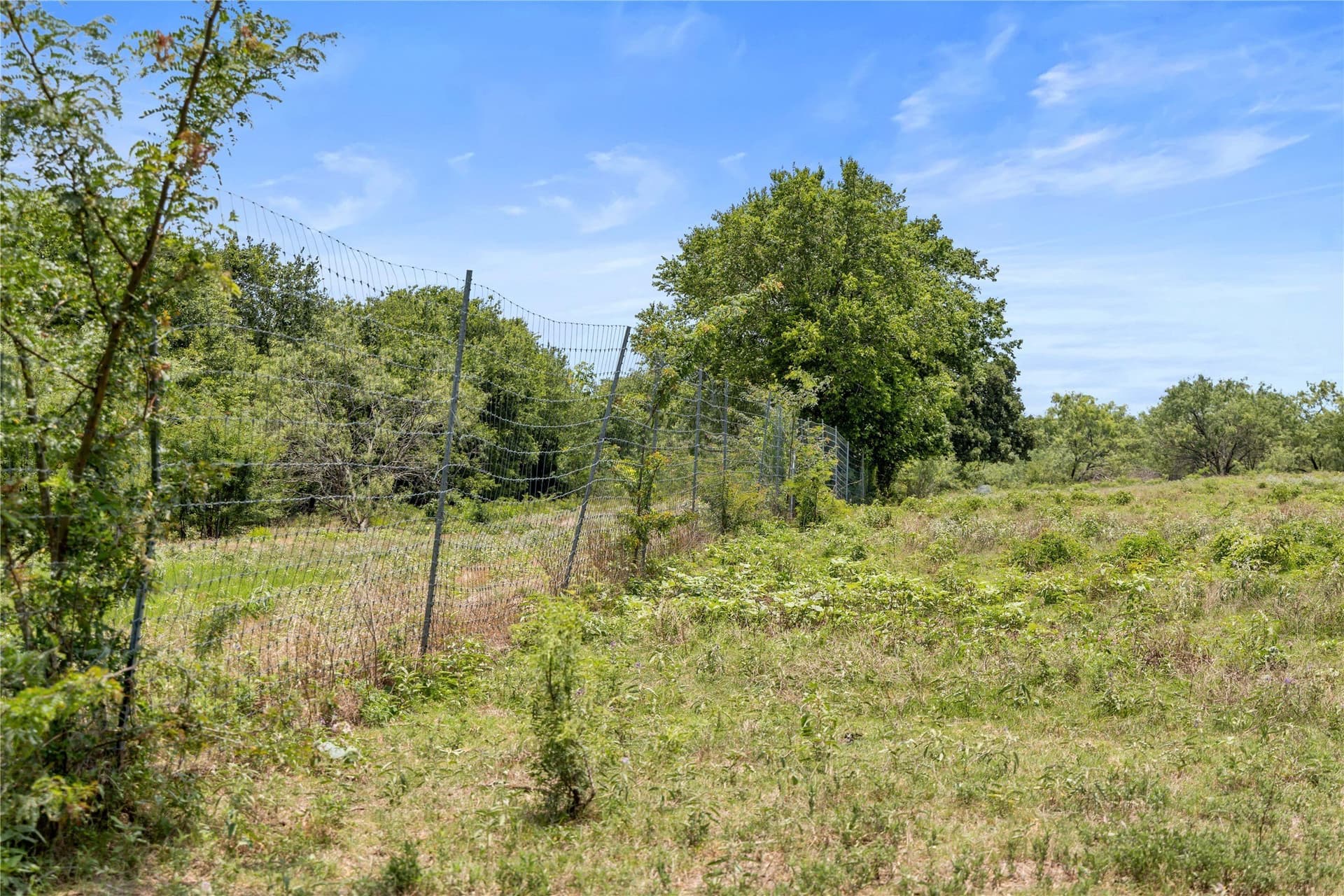 733 acres in Kaufman County - photo 6