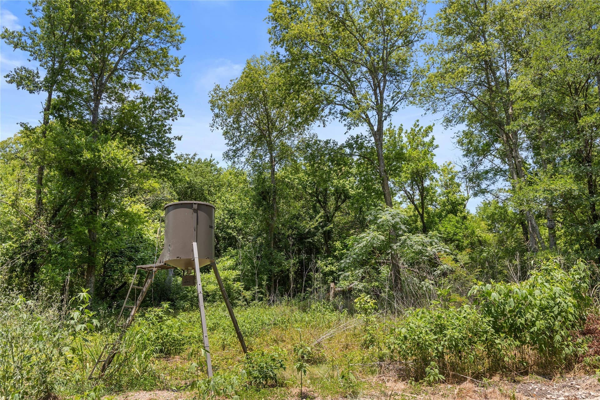 733 acres in Kaufman County - photo 14