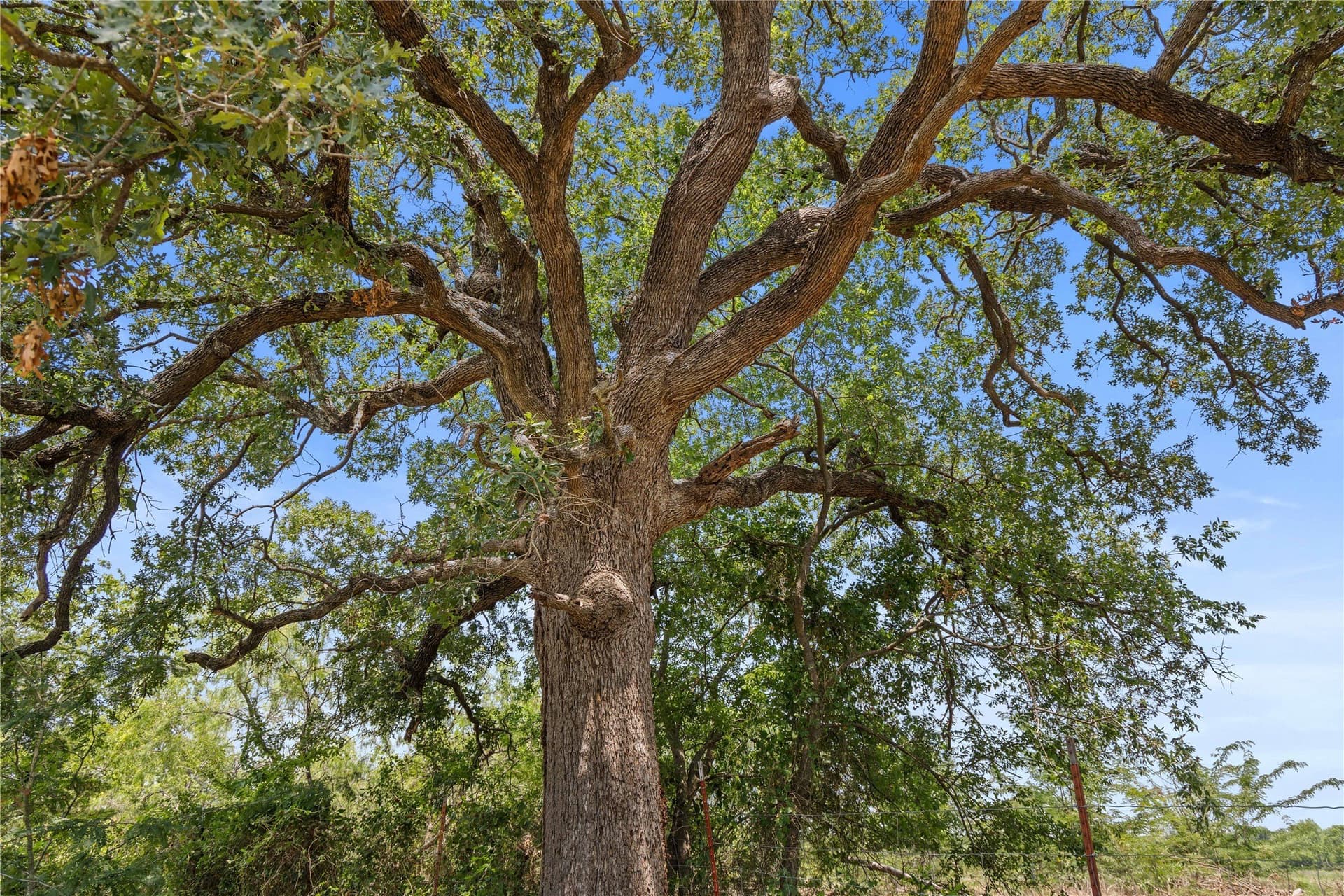 733 acres in Kaufman County - photo 5