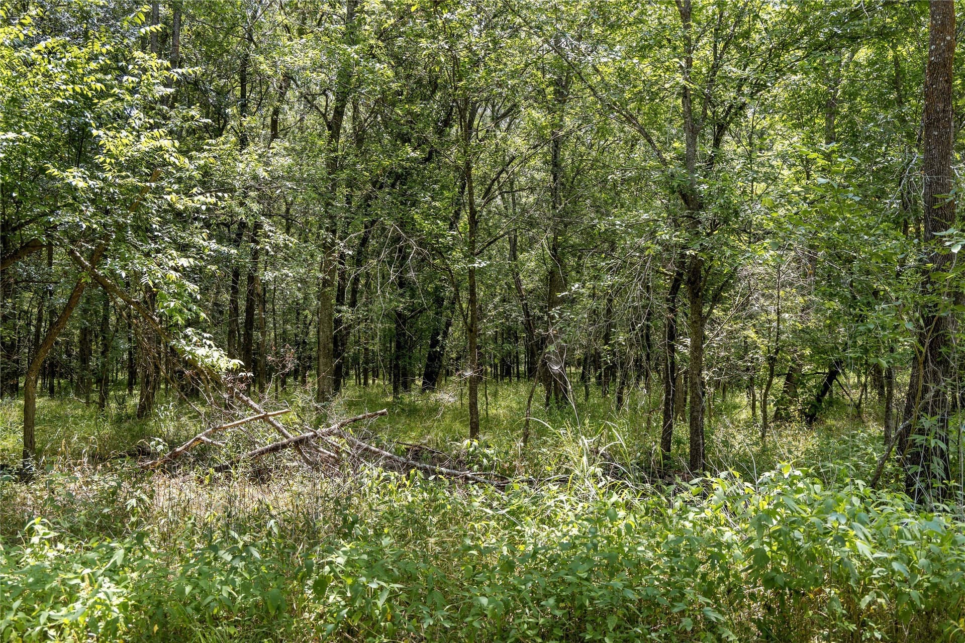 733 acres in Kaufman County - photo 24