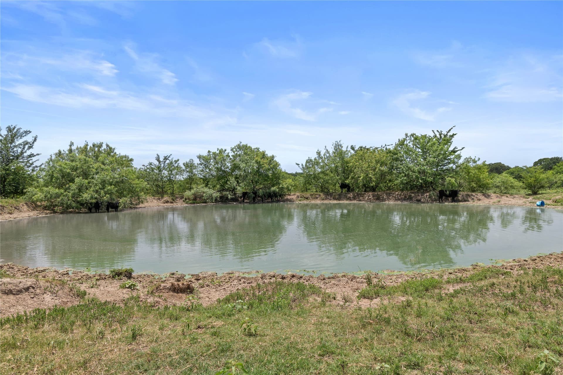 733 acres in Kaufman County - photo 19