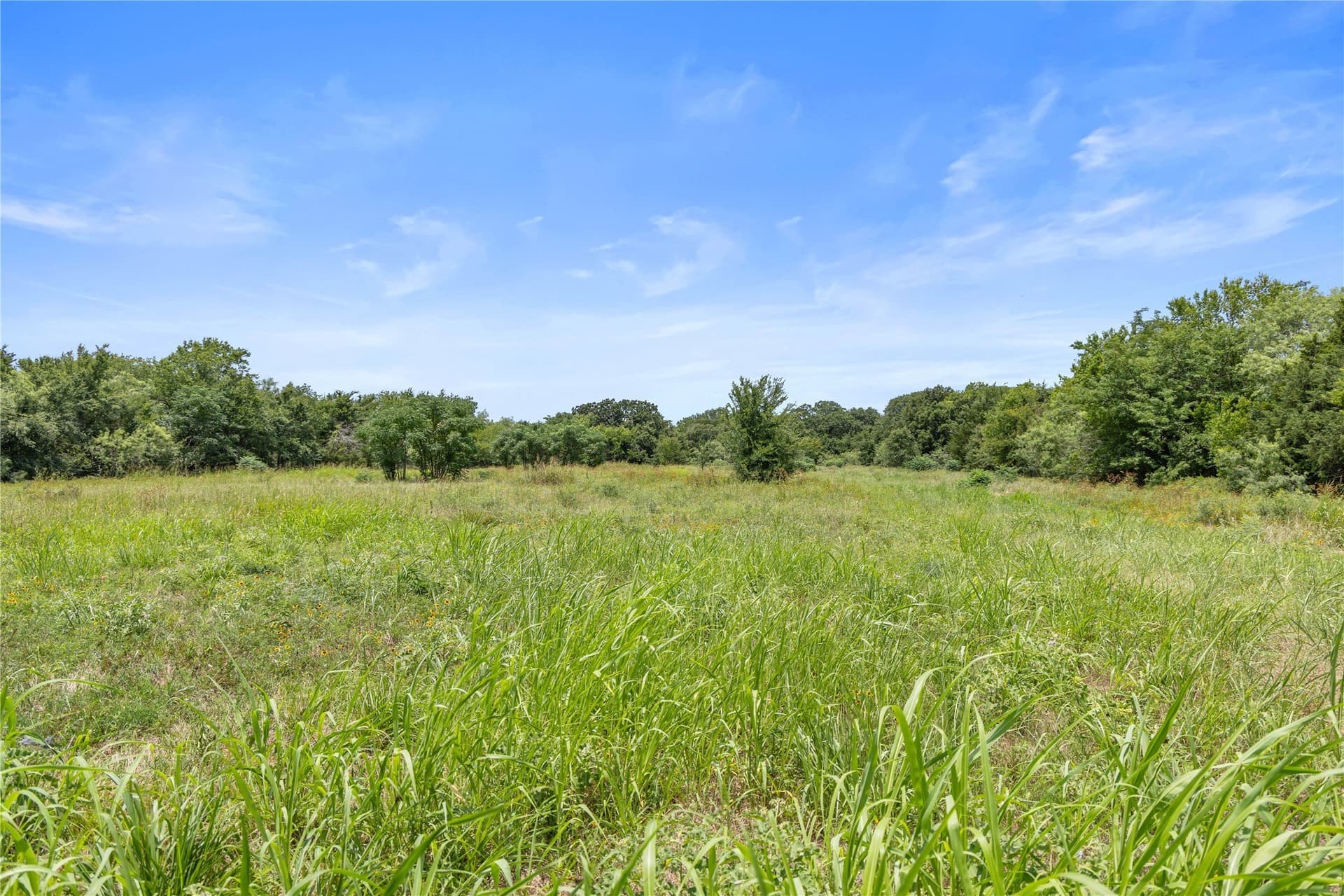 733 acres in Kaufman County - photo 29