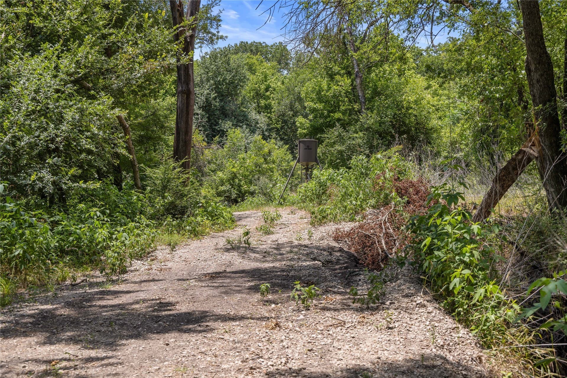 733 acres in Kaufman County - photo 13