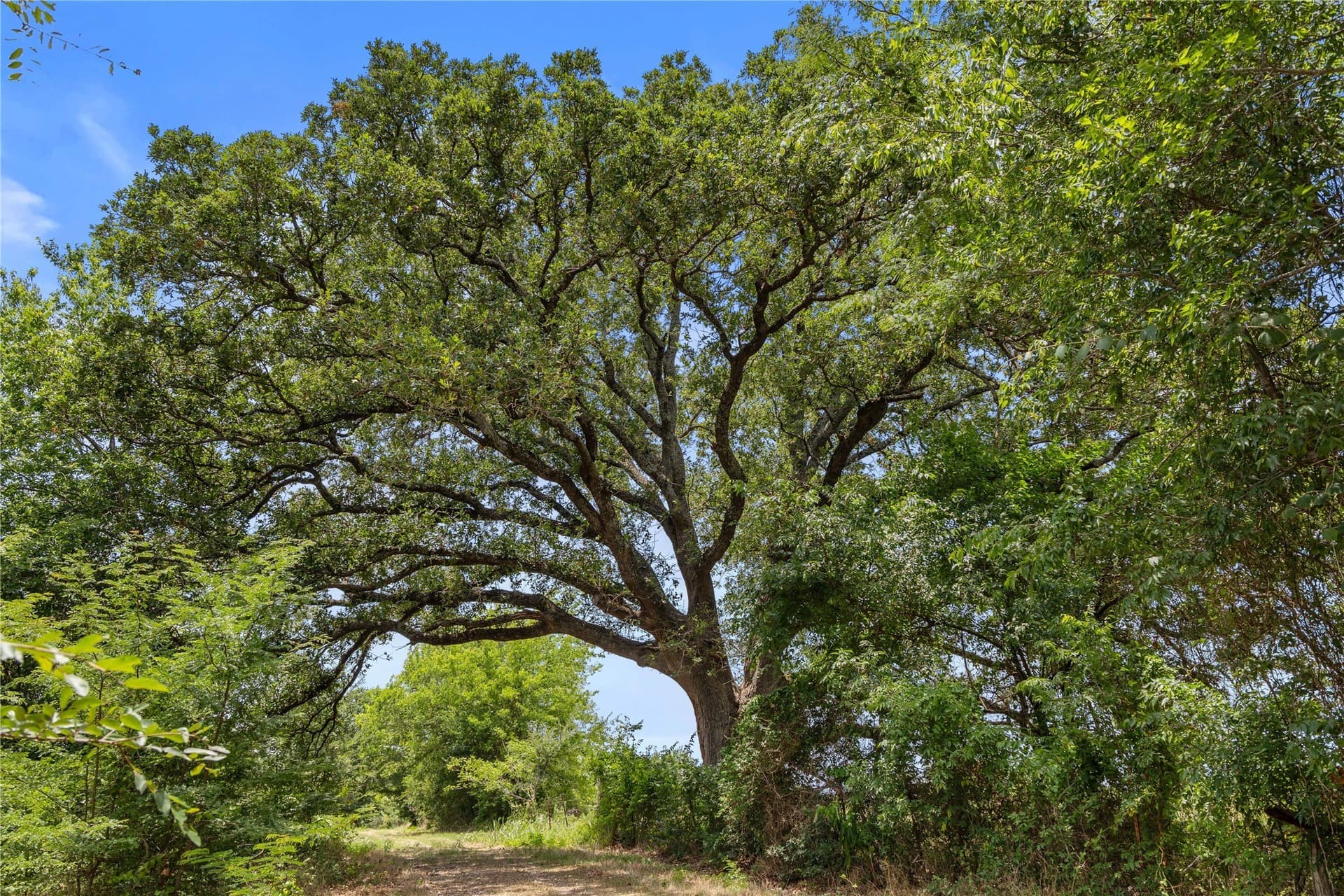 733 acres in Kaufman County - photo 2