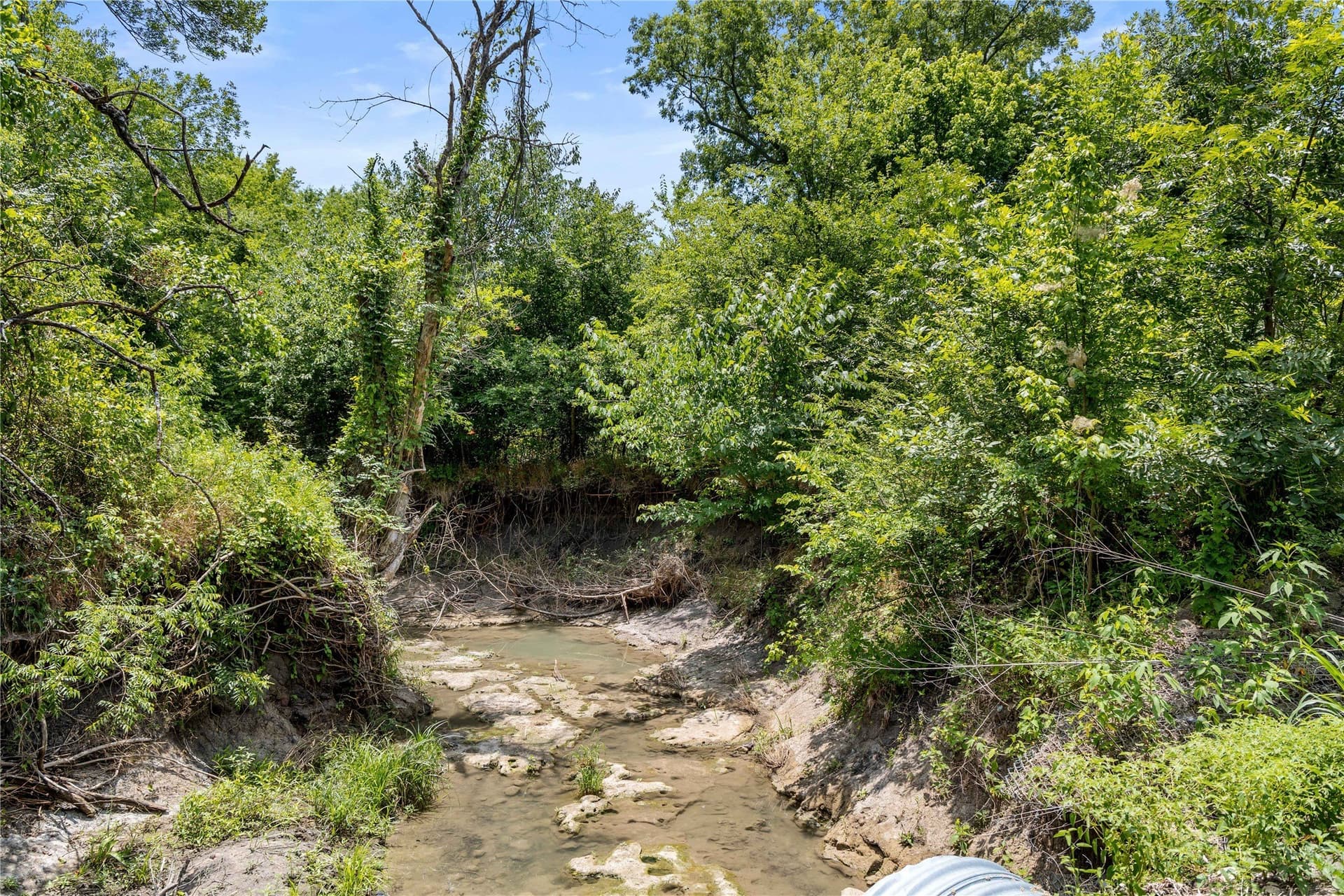 733 acres in Kaufman County - photo 3
