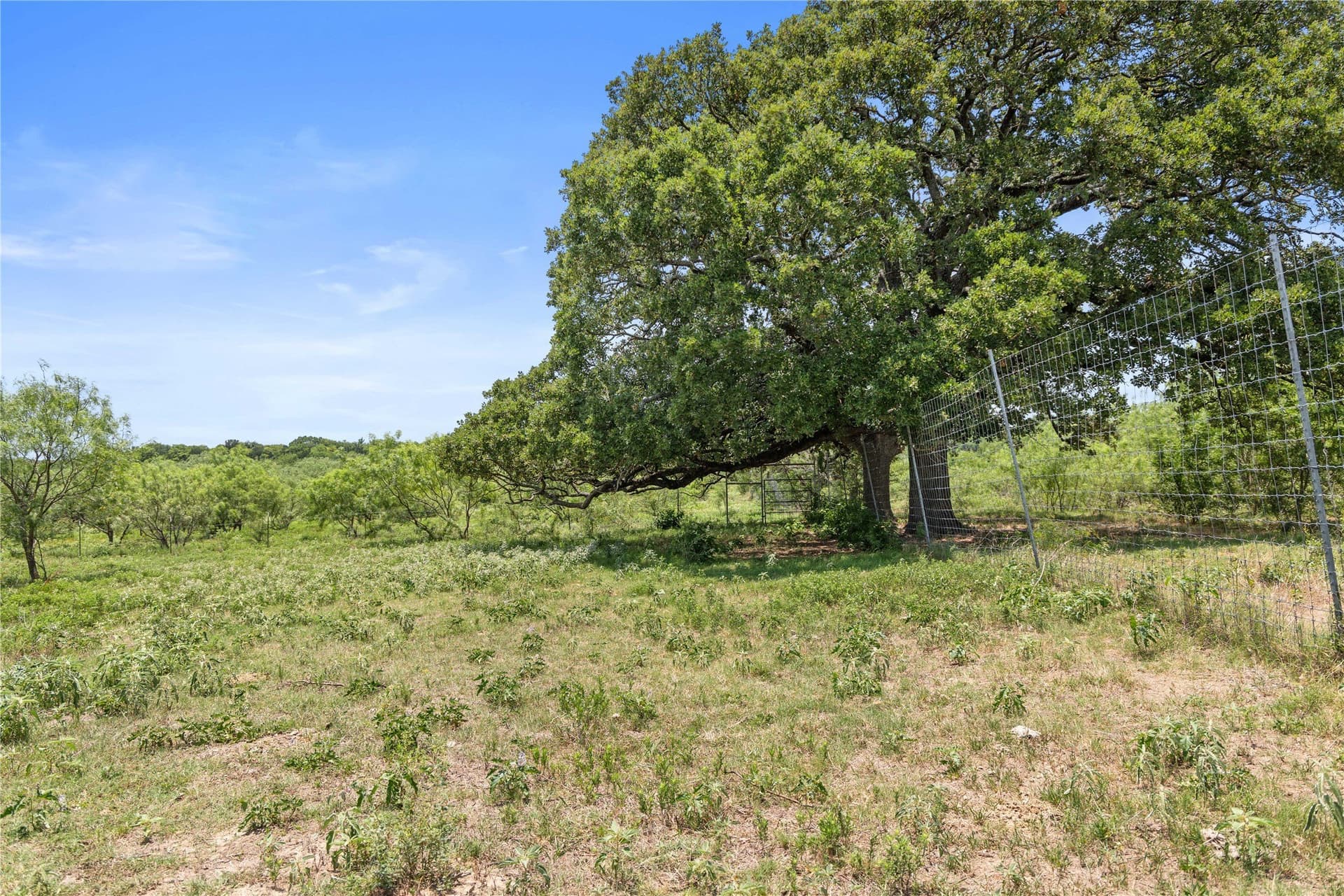 733 acres in Kaufman County - photo 18