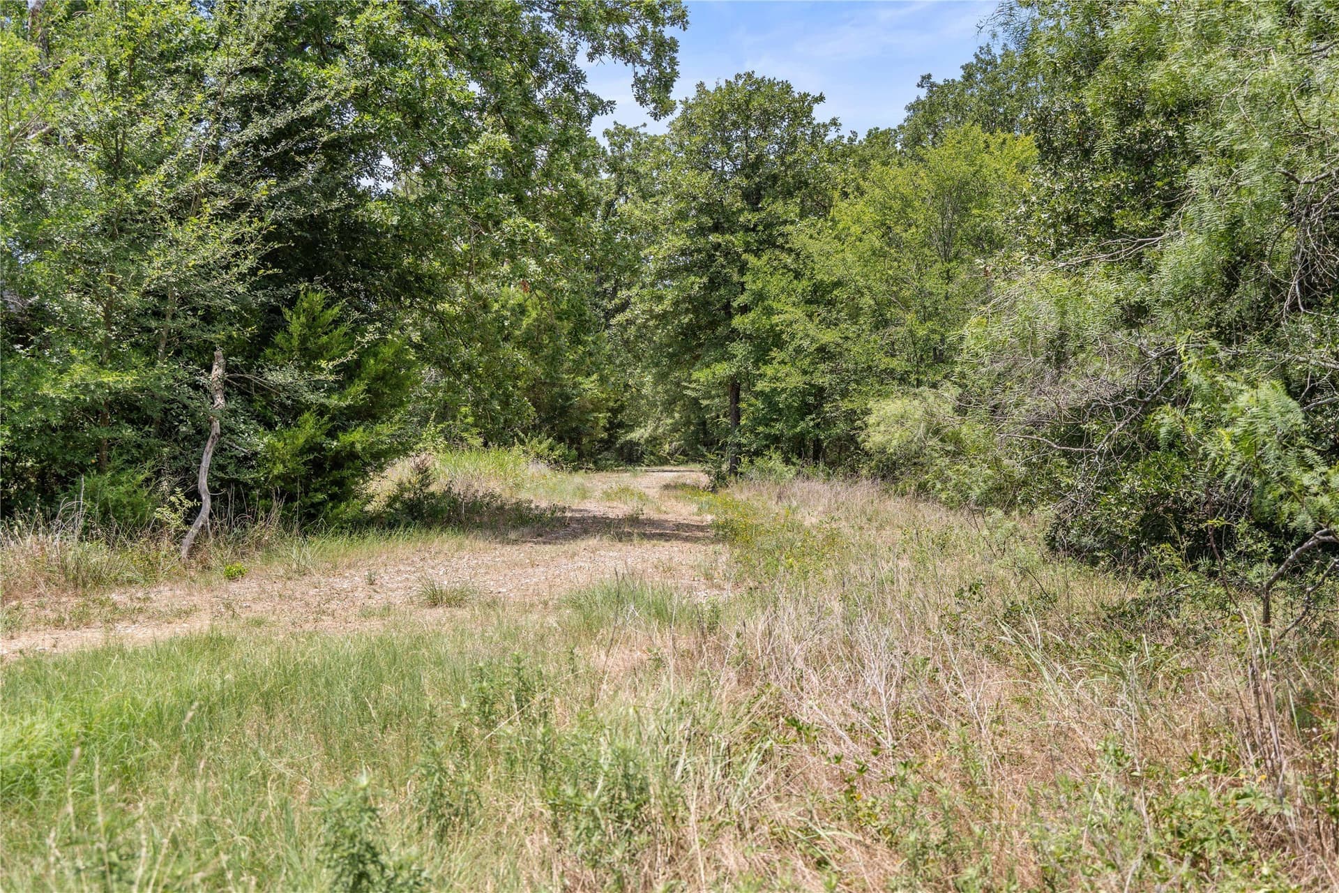 733 acres in Kaufman County - photo 25