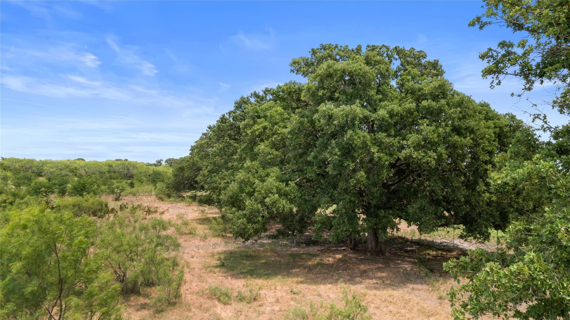 733 acres in Kaufman County - photo 38