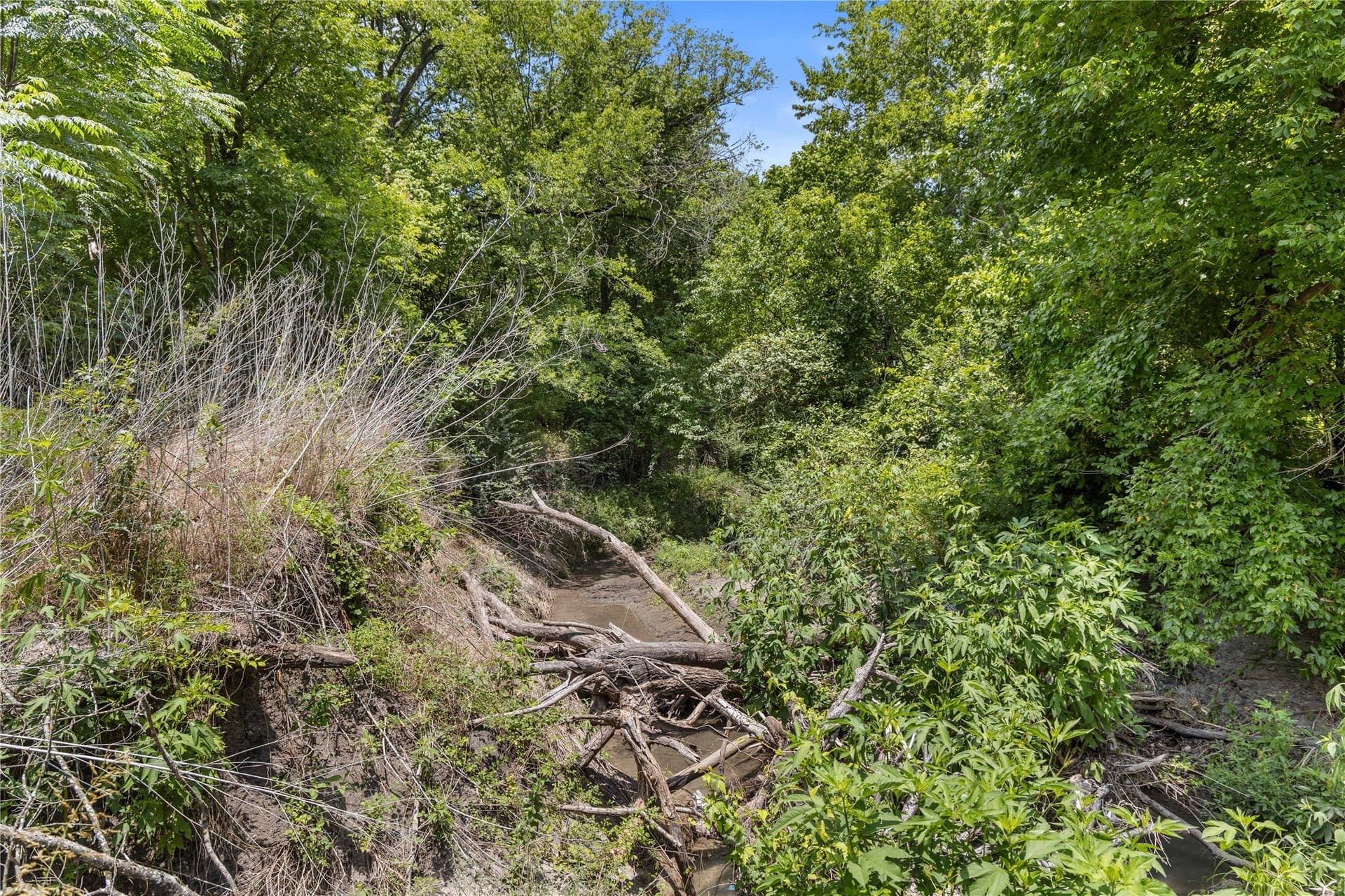 733 acres in Kaufman County - photo 21