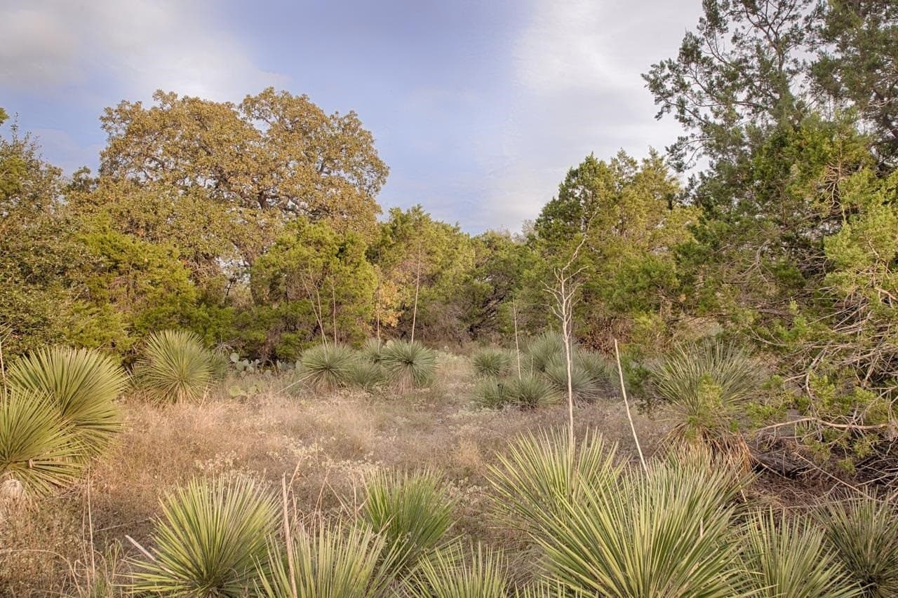 0.08 acres in Llano County gallery image 2