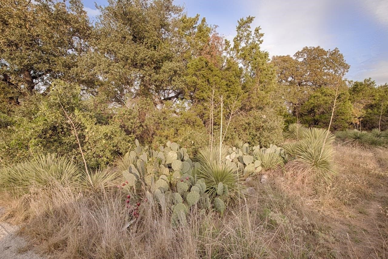 0.08 acres in Llano County gallery image 3