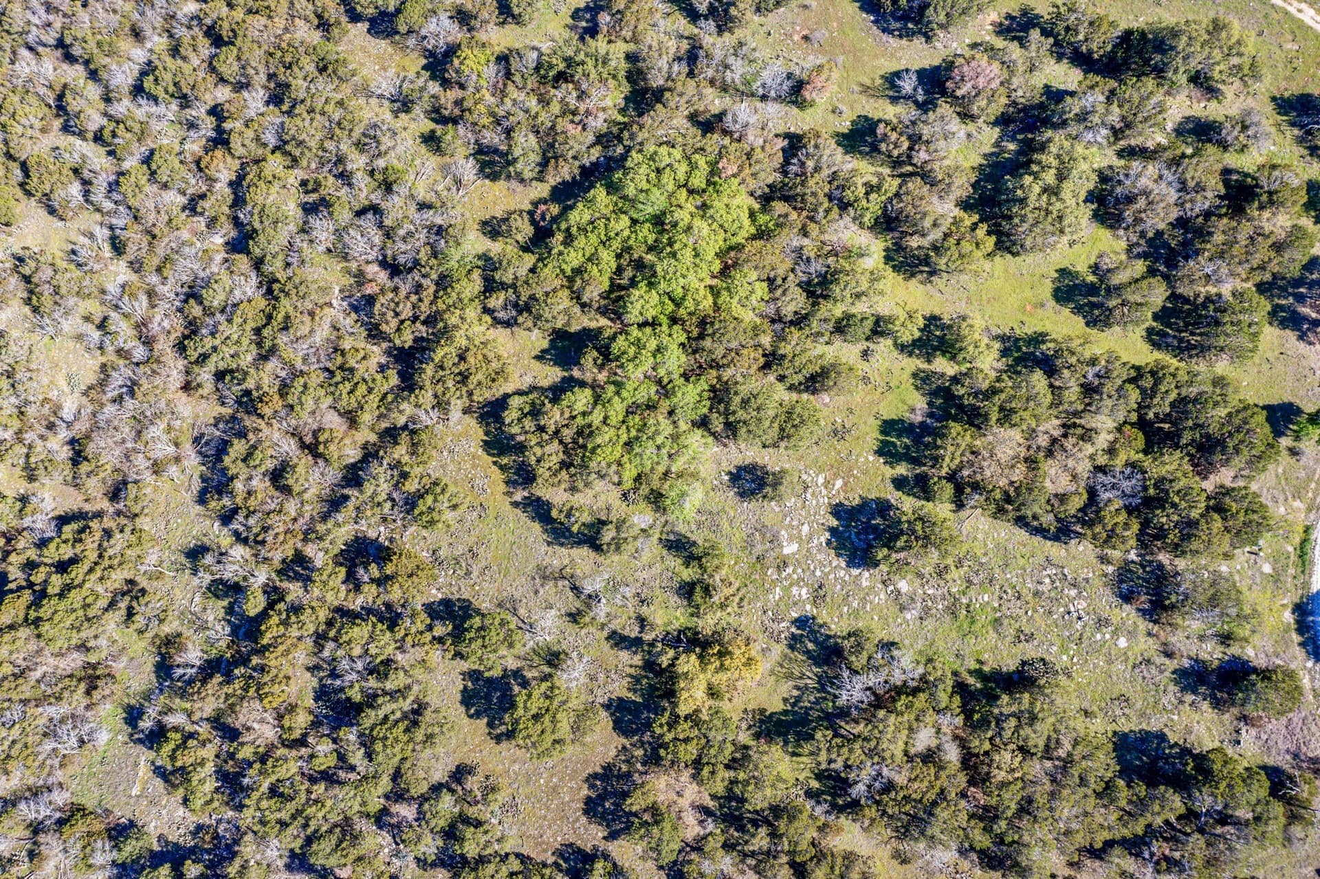 1.39 acres in Palo Pinto County gallery image 3