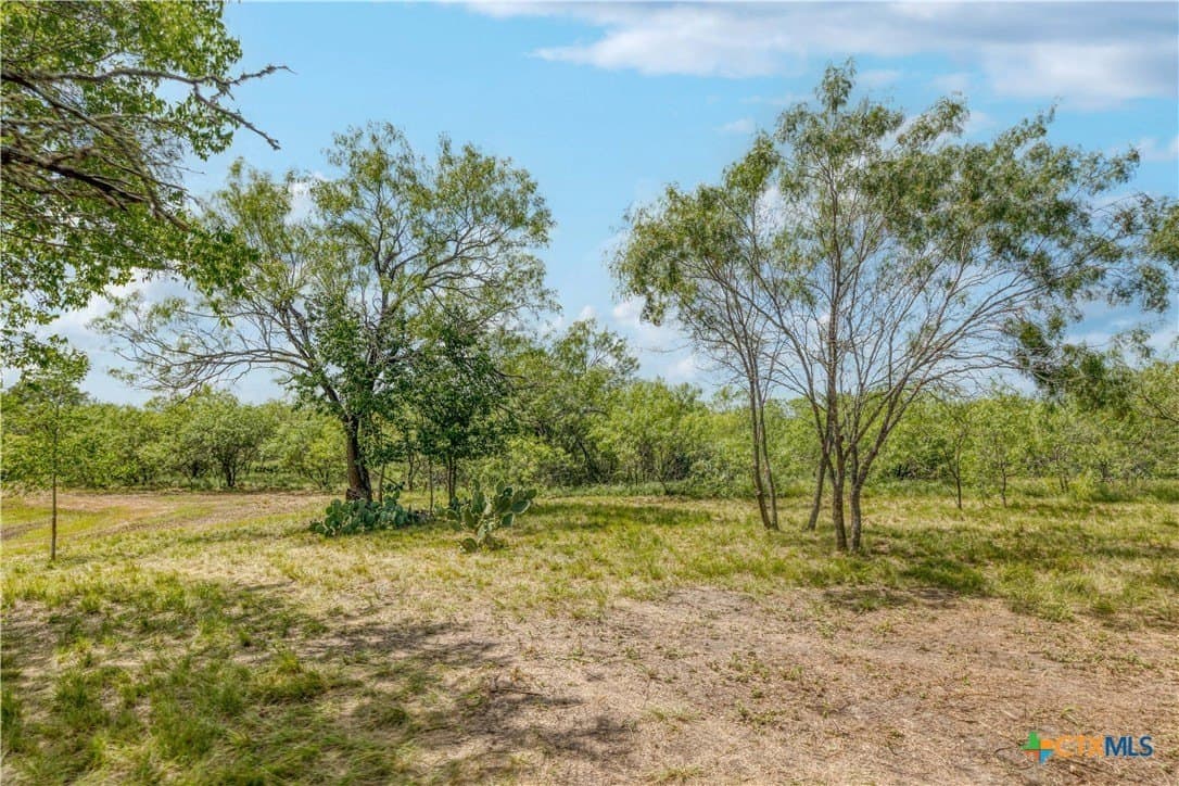 14.92 acres in Caldwell County gallery image 3
