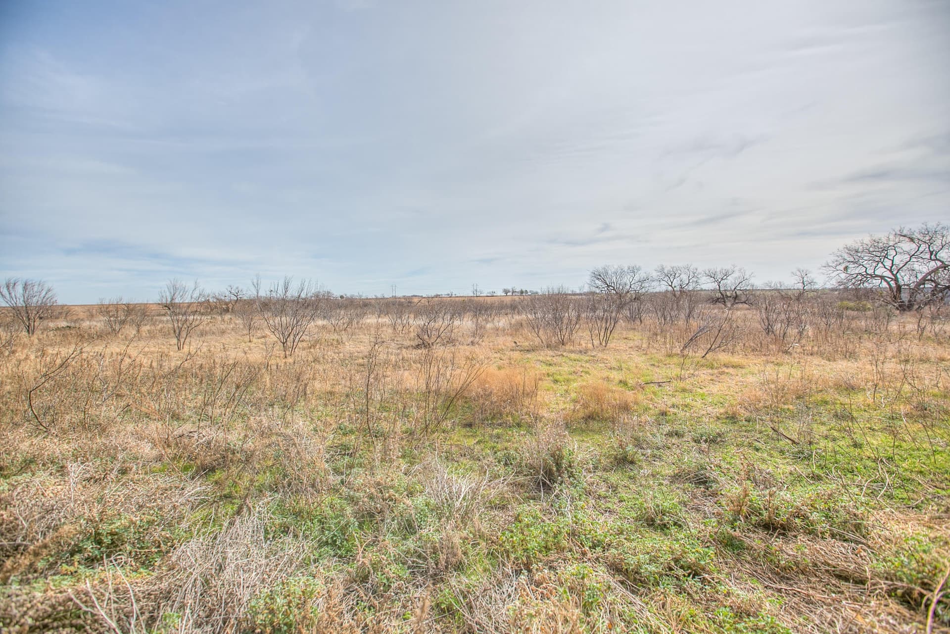 17.52 acres in Tom Green County - photo 26