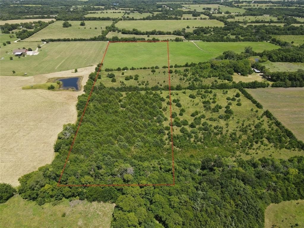 13 acres in Fannin County gallery image 2