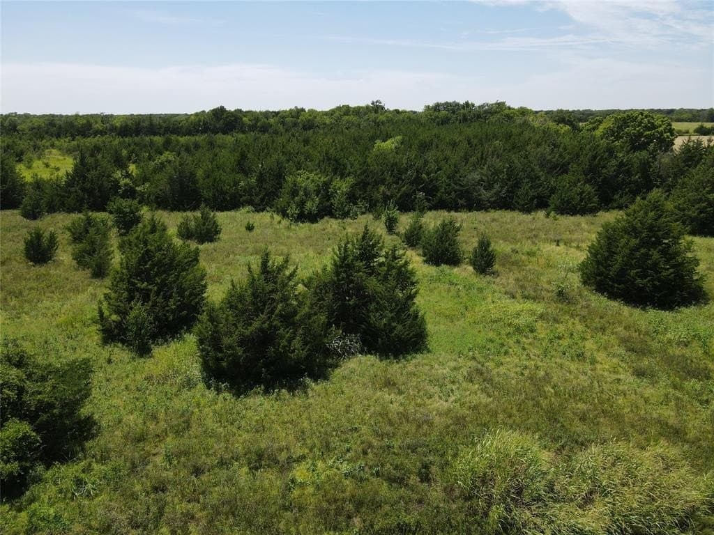 13 acres in Fannin County featured view