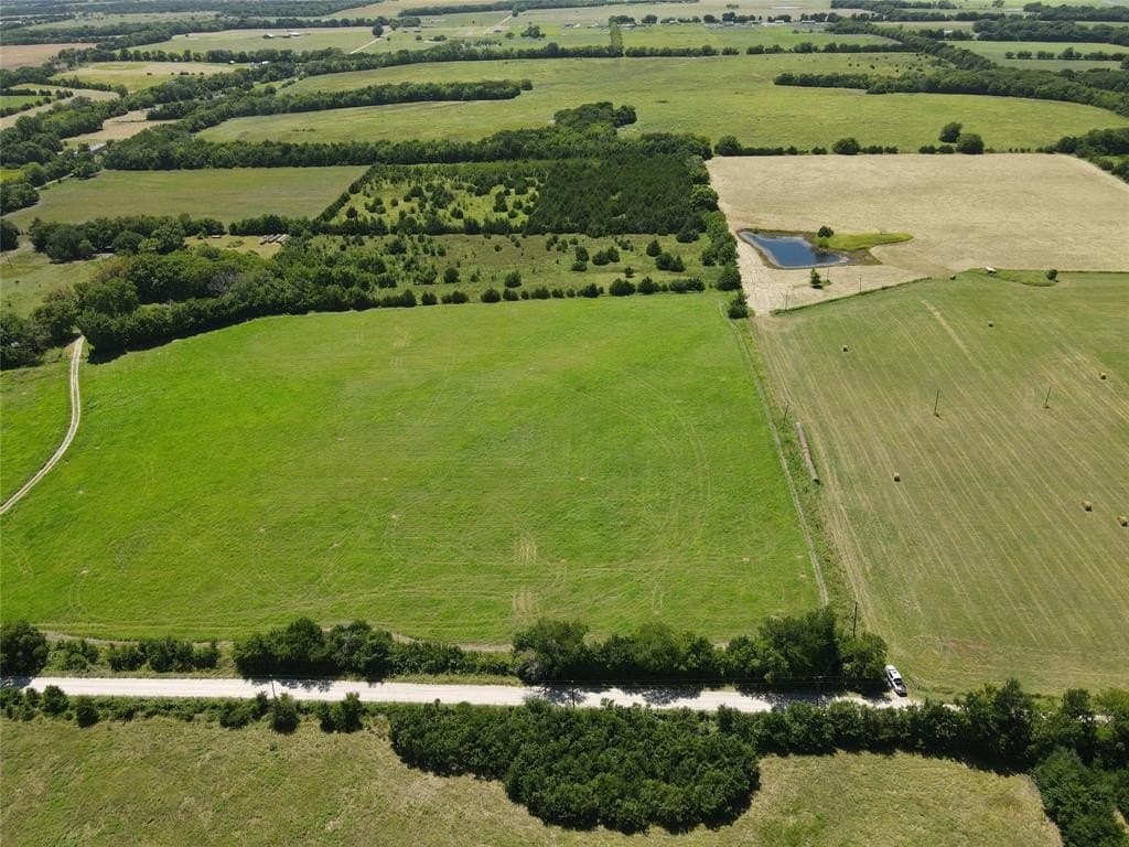 13 acres in Fannin County gallery image 3