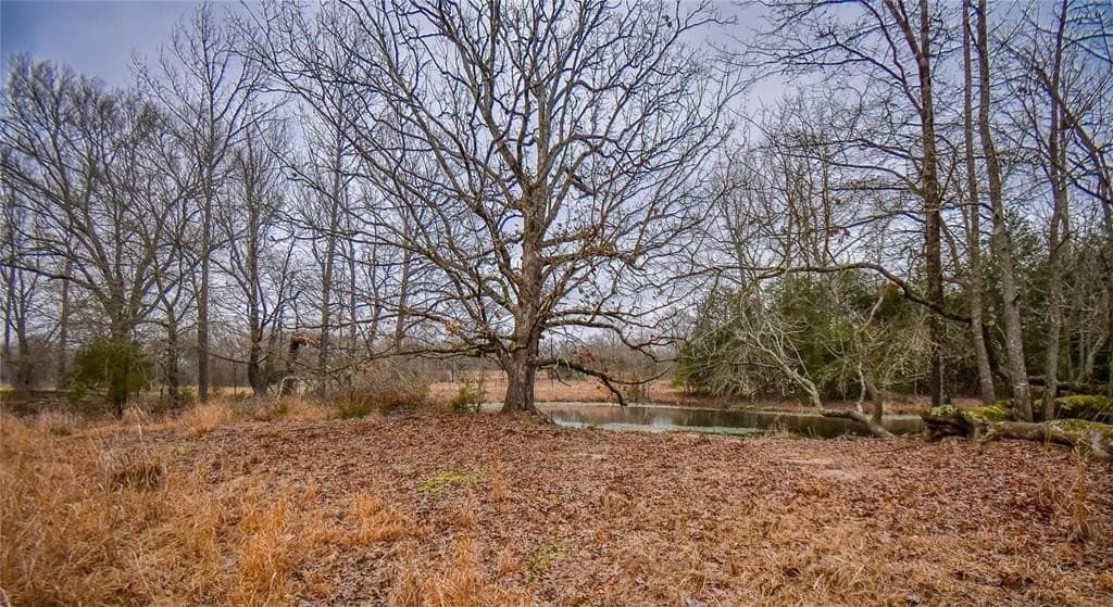 5.48 acres in HENDERSON County - photo 8