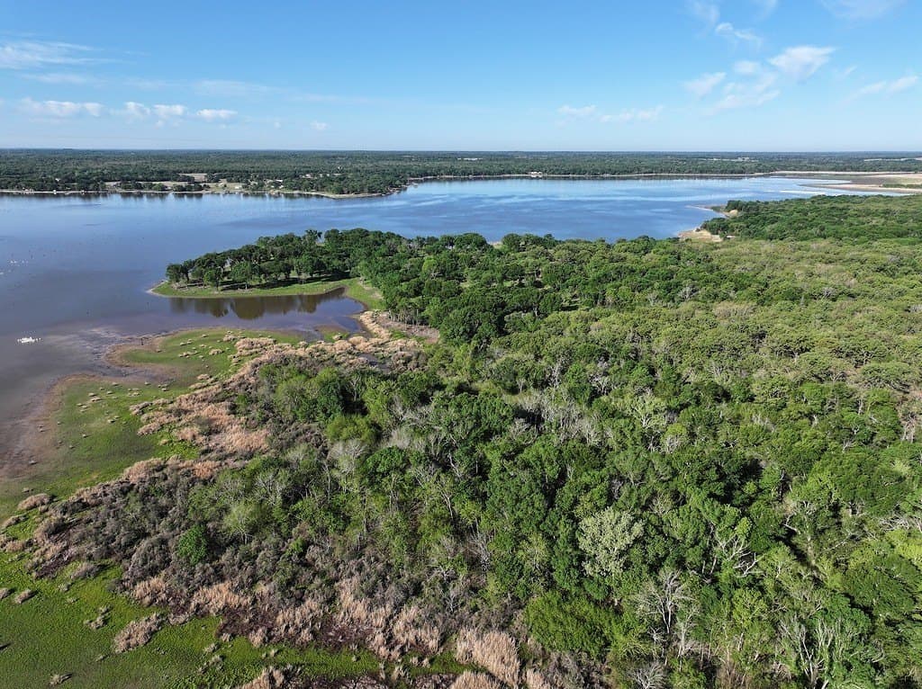 325 acres in Limestone County gallery image 2