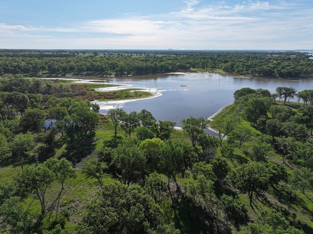 325 acres in Limestone County gallery image 3