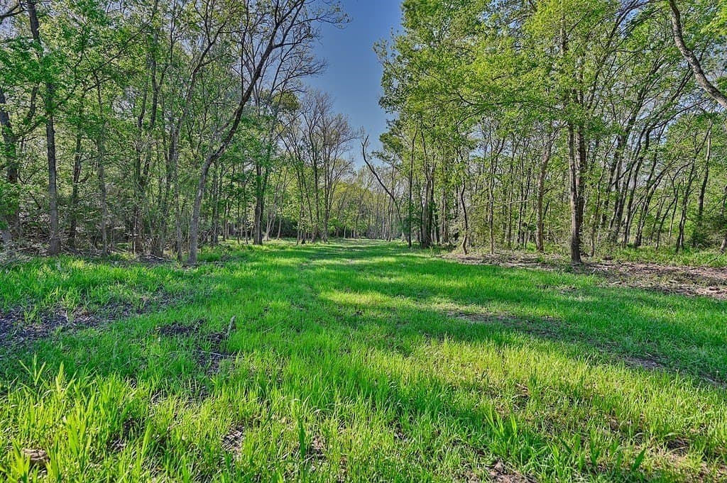 325 acres in Limestone County featured view