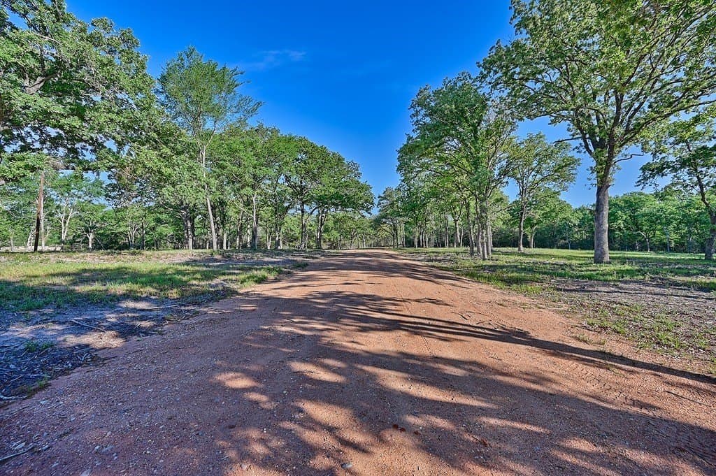 325 acres in Limestone County gallery image 4