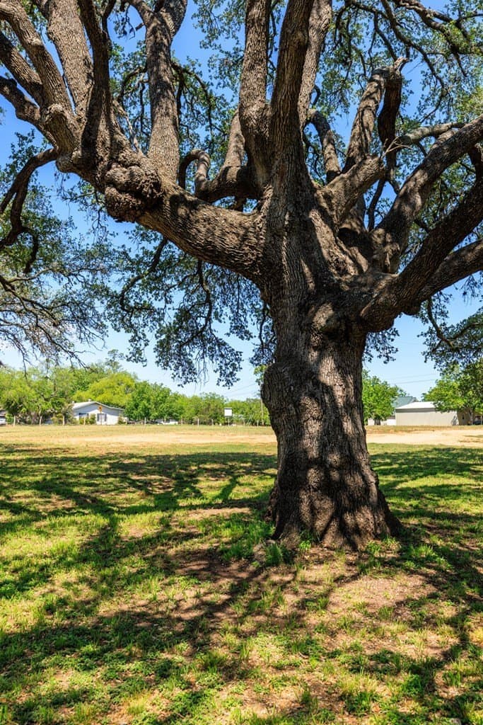 4.54 acres in Gillespie County - photo 8