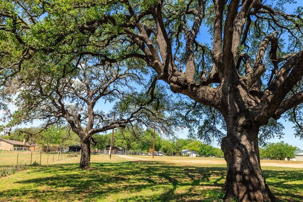 4.54 acres in Gillespie County - photo 9