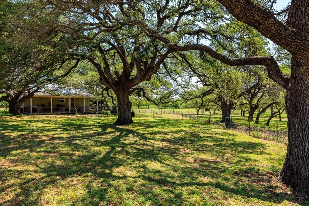 4.54 acres in Gillespie County - photo 10