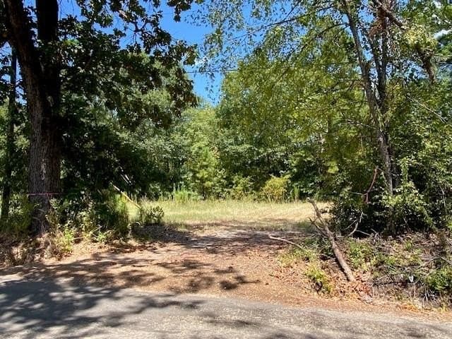14.84 acres in Texas County - photo 11