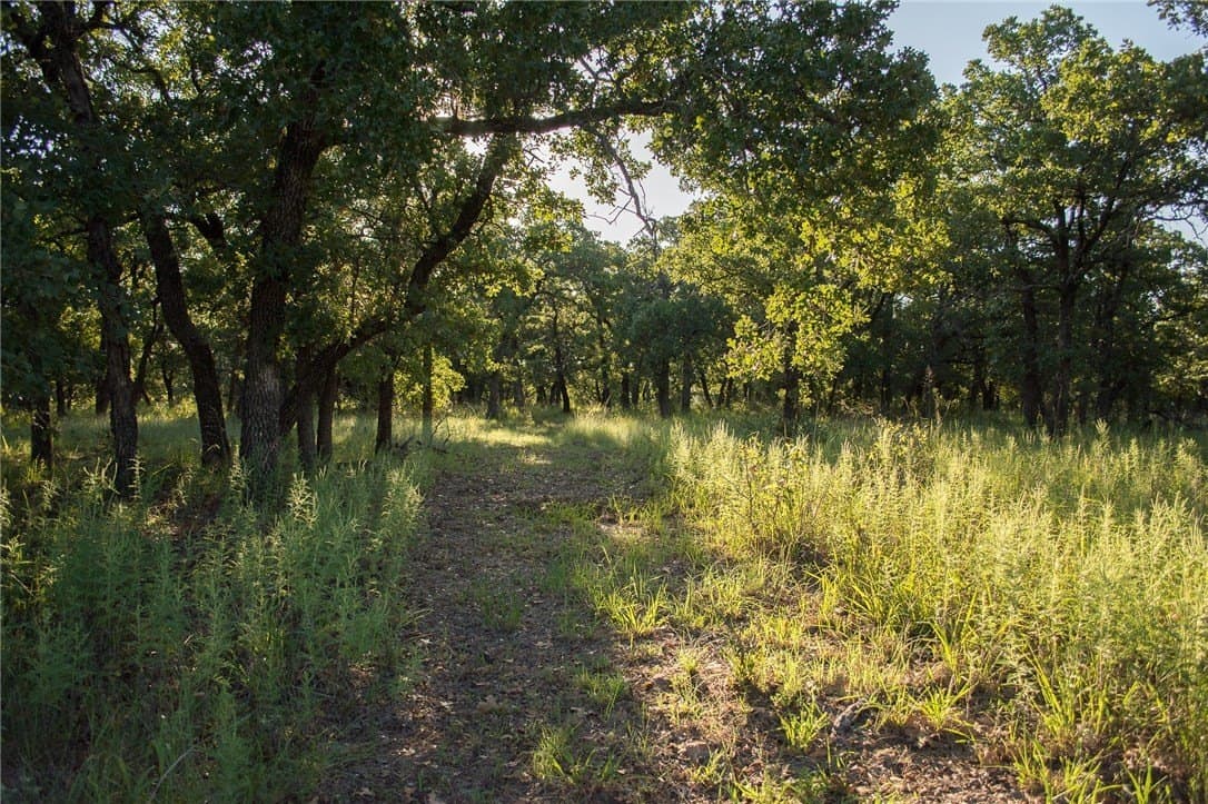 1.19 acres in Palo Pinto County - photo 36
